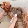 4 In 1 Electric Pet Dog Cat Grooming Kit Cordless Rechargeable Pet Hair Trimmer - 10 of 11