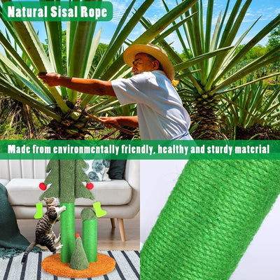 dspic_3e0764a8-4cad-40bf-b54d-11707ab156e415 of 18