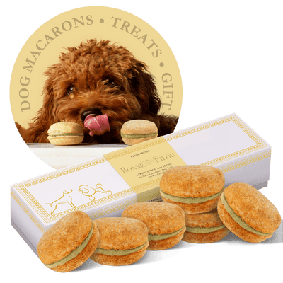 Dog Macarons - Count of 6 (Dog Treats | Dog Gifts) - Creme Brulee - 1 of 4