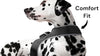 Less Maintenance Mini Collar GPS Pet Tracker Portable Pet Site Monitor Size: XS - 2 of 19