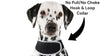 Monitor Dog Position w/ Mini GSM GPRS GPS Realtime Collar Pet Tracker Size: XS - 7 of 19