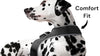 Collar Mount GPS Dog Tracker Waterproof Realtime Wireless Pet Monitor Size: XL - 3 of 20