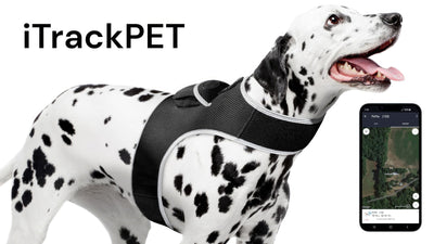 NEW Dog Tracker Device Collar Mount Waterproof for pet