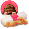 Dog Macarons - Count of 6 (Dog Treats | Dog Gifts) - Rose - 1 of 5