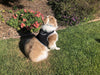 Monitor Dog Position w/ Mini GSM GPRS GPS Realtime Collar Pet Tracker Size: XS - 15 of 19