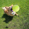 Dog Tennis Balls 20 Pack Pet Tennis Ball for Small Dogs Premium Fetch Toy Non-Toxic Non-Abrasive Material - 5 of 7