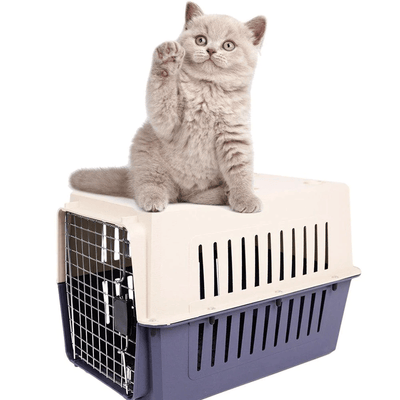 Plastic Cat & Dog Carrier Cage with Chrome Door Portable Pet Box Airline Approved, Medium, Blue/Red - 3 of 11