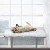 Cat Window Perch;  Wall-mounted Cat Seat with Soft Cushion and Supporting Feet;  White - 2 of 17