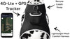 Collar Mount GPS Dog Tracker Waterproof Realtime Wireless Pet Monitor Size: L - 10 of 19