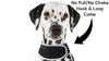 Collar Mount GPS Dog Tracker Waterproof Realtime Wireless Pet Monitor Size: XL - 19 of 20