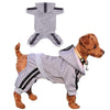 Casual Pet Dog Striped Hoodie Sweatpants Suits - XS to XXL