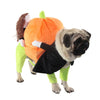 Pet Life 'Pumpkin Mon' Halloween Pet Dog Costume - XS to XL - 1 of 6