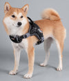 'Scorpion' Sporty High-Performance Free-Range Dog Harness black on dog