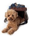 Fashion Canvas Pet Carrier - 2 of 7