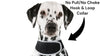 Collar Mount GPS Dog Tracker Waterproof Realtime Wireless Pet Monitor Size: M - 18 of 20