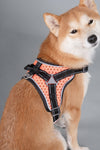 'Scorpion' Sporty High-Performance Free-Range Dog Harness red side view