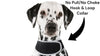 Collar Mount GPS Dog Tracker Waterproof Realtime Wireless Pet Monitor Size: L - 1 of 19