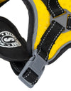 'Scorpion' Sporty High-Performance Free-Range Dog Harness partial yellow