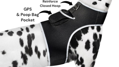 NEW Dog Tracker Device Collar Mount Waterproof on large dog