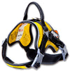 'Scorpion' Sporty High-Performance Free-Range Dog Harness yellow main