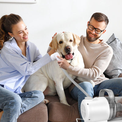 Professional Pet Hair Grooming Vacuuming Kit with 7 Grooming Tools Dog Clipper 2.5L Dust Cup 10000PA Strong Suction Low Noise Hair Remover Pet Hair Grooming Supplies for Dogs Cats - 11 of 12