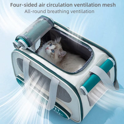 Pet Carrier Bag Soft Sided Collapsible Portable PET Travel Carrier Bag- 1 of 10