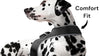 Collar Mount GPS Dog Tracker Waterproof Realtime Wireless Pet Monitor Size: S - 6 of 19