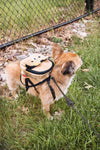 Pet Life 'Teddy Tails' Dual-Pocketed Compartmental Animated Dog Harness Backpack - 10 of 10