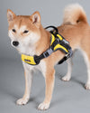 'Scorpion' Sporty High-Performance Free-Range Dog Harness main yellow