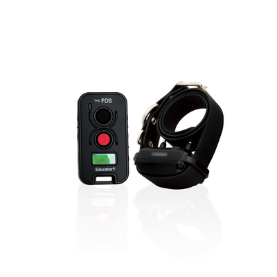  1-Dog Remote Training System for Big/Stubborn Dogs