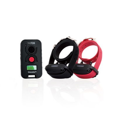 Educator 2-Dog Remote Training System