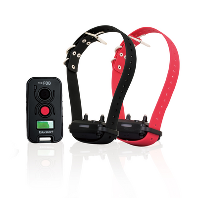  2-Dog Remote Training System for Big/Stubborn Dogs