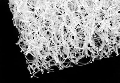 orgiveness-1-85414 of 14