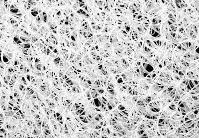 forgiveness-2-854_eefaf457-8d92-4481-8dbb-3062e9a87eba13 of 14