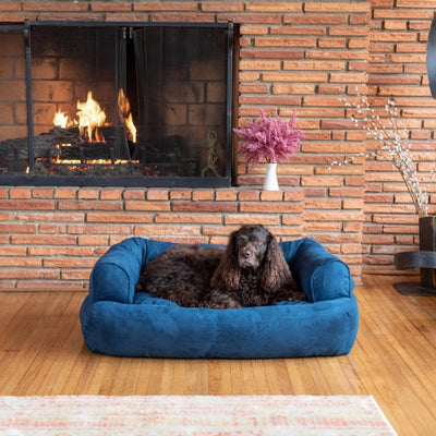 lifestyle-snoozer-pet-products-overstuffed-luxury-microsuede-dog-sofa-sapphire-large-square-1_b7ac5f1f-d43e-4a0f-94da-6df97c7693f44 of 10