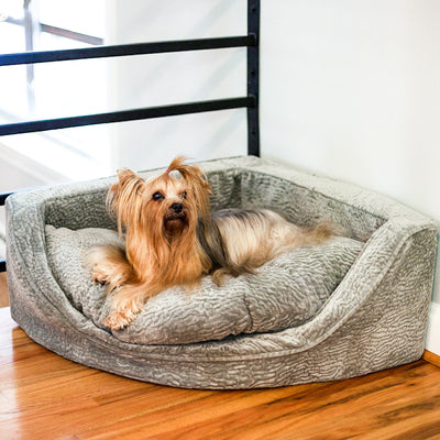 luxury-corner-dog-bed-snoozer-pet-products-show-dog-collection_1ab5dcc8-f58d-49c7-a3d9-a49a185a154711 of 11