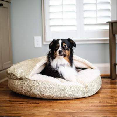 orthopedic-luxury-cozy-cave-dog-bed-snoozer-pet-products-palmer-citron_a13e0160-08fc-4c7e-be1c-3c28aeeaffa21 of 10