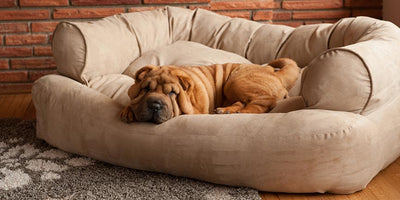 overstuffed-dog-beds_45309ae5-1e00-4956-9af9-e82cdede91c810 of 10