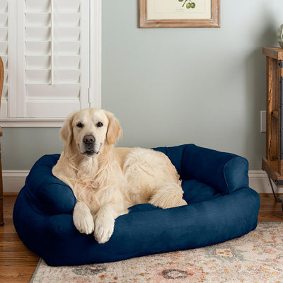 overstuffed-dog-sofa-lifestyle-sapphire-1-4_9b45f3f7-f00f-439b-aa47-076827d264187 of 10