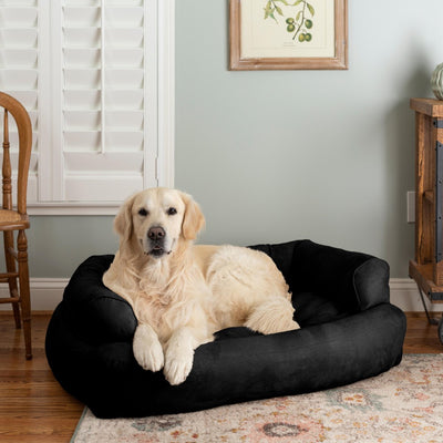overstuffed-luxury-microsuede-dog-sofa-lifestyle-black1 of 10