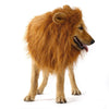 product-image-18426423561 of 6