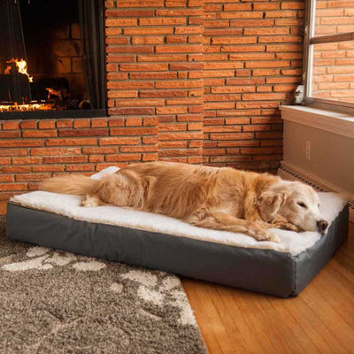 rectangle-super-ortho-dog-bed-cream-110_110890a6-8d82-4d9a-9429-834a620c36712 of 8