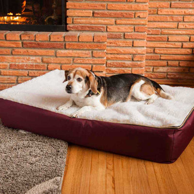 rectangle-super-ortho-dog-bed-cream-30_986a6462-7f34-4b42-a58d-a4abbadb85ff3 of 8