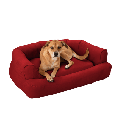 red-24_cd929ca8-cba4-47a7-8847-02d91552ab9f10 of 10