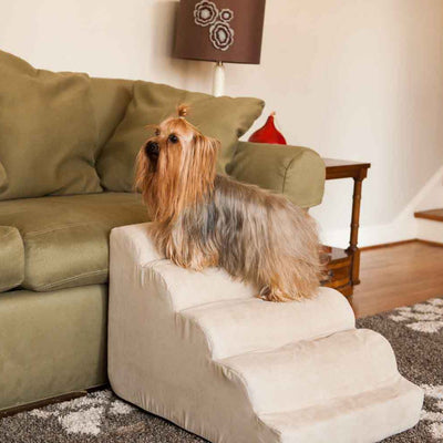 scalloped-dog-ramp-5911_6f7df960-f189-4344-a1ee-96a476498e412 of 10