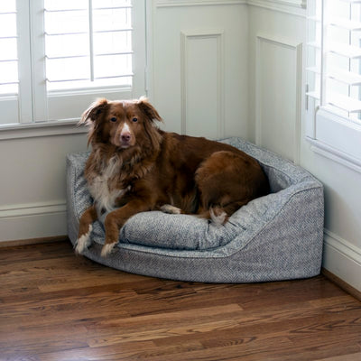 showdog-corner-dog-bed-lifestyle-palmer-dove1 of 11