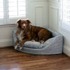 showdog-corner-dog-bed-lifestyle-palmer-dove_fd1f7095-1f7d-4817-bce8-78bb22e1f03e1 of 11