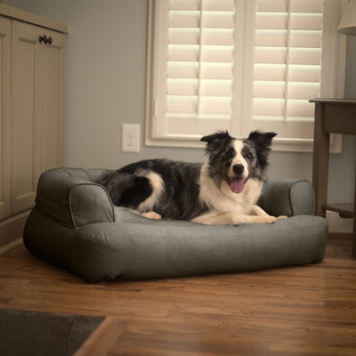 sleeper-sofa-dog-bed-lifestyle-anthracite_1e7a049b-6097-438e-bf0b-b12552af9c9a1 of 10