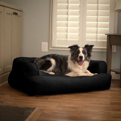 sleeper-sofa-dog-bed-lifestyle-black1 of 10