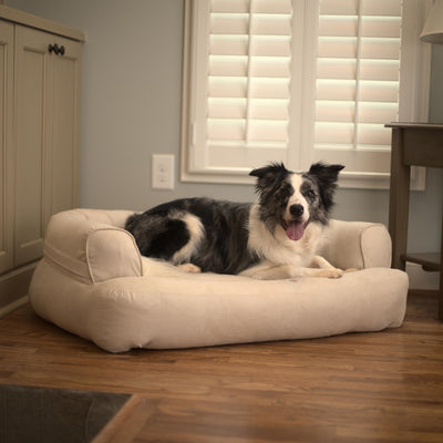 sleeper-sofa-dog-bed-lifestyle-buckskin_31c6eaaf-f934-4c67-9ec2-e95b611ce5761 of 10